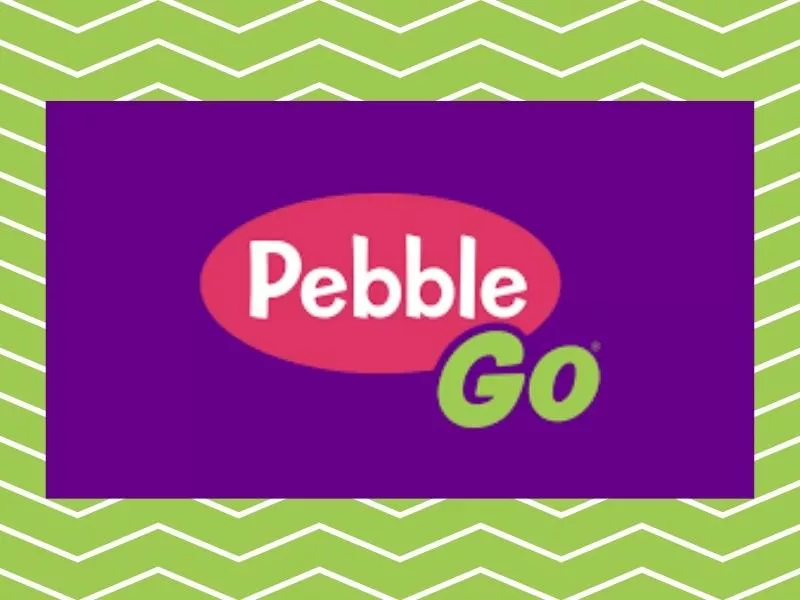 Pebble Go