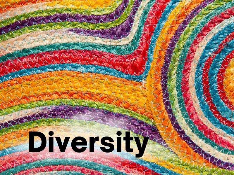 LFJ Diversity 3-5 Callout