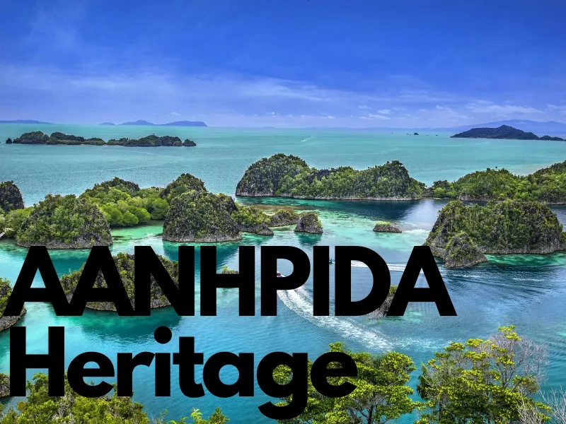 AANHPIDA