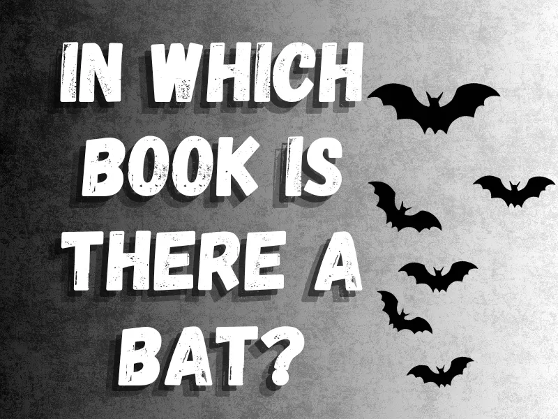 In Which Book is there a bat